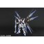 PG 1/60 STRIKE FREEDOM GUNDAM