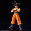 FIGURE-RISE STANDARD SON GOKU NEW SPEC VER