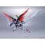 Metal Robot Spirits < Side MS > Destiny Gundam (Completed)