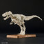 Tyrannosaurus