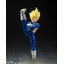 S.H.Figuarts SUPER SAIYAN VEGETA -AWAKENED SUPER SAIYAN BLOOD-