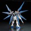ZGMF-X20A Strike Freedom Gundam (RG)