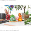 POKEMON PLAMO COLLECTION QUICK 13 BULBASAUR