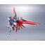 Metal Robot Spirits < Side MS > Destiny Gundam (Completed)