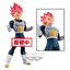 Dragon Ball Super: Broly Chokoku Buyuden Super Saiyan God Vegeta