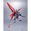 Metal Robot Spirits < Side MS > Destiny Gundam (Completed)
