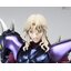 Saint Cloth Myth EX Dubhe Alpha Siegfried