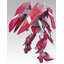 HG 1/144 GUNDAM THRONE DREI