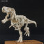 Tyrannosaurus