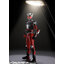S.H.FIGUARTS (SHINKOCCHOU SEIHOU) MASKED RIDER RYUKI