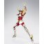 Saint Cloth Myth Pegasus Seiya (First Bronze Cloth) -Revival Ver.- (PVC Figure)