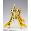 Saint Cloth Myth EX Aquarius Camus (God Cloth)