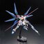 ZGMF-X20A Strike Freedom Gundam (RG)