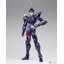Saint Cloth Myth EX Dubhe Alpha Siegfried