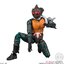 SHODO-X Kamen Rider 9 (Set of 10) (Shokugan)