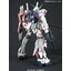 Unicorn Gundam HD Color +MS CAGE (MG)