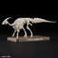 PLANNOSAURUS PARASAUROLOPHUS