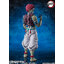 S.H.Figuarts Akaza