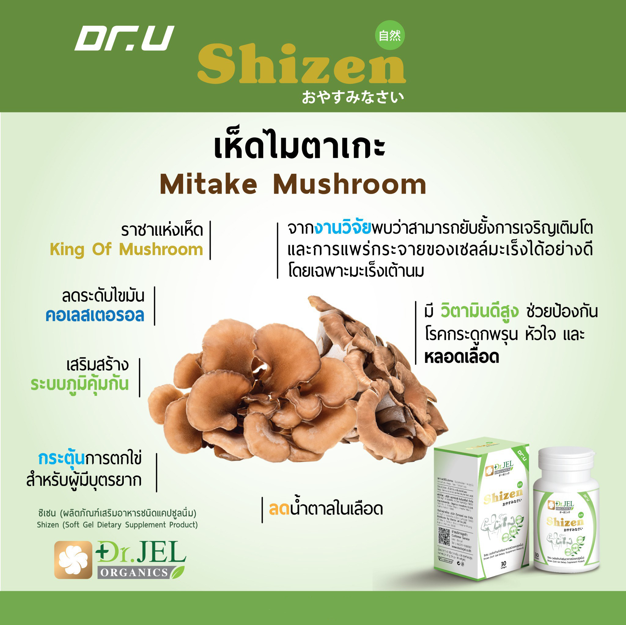 เห็ดไมตาเกะ Shizen Dr.U