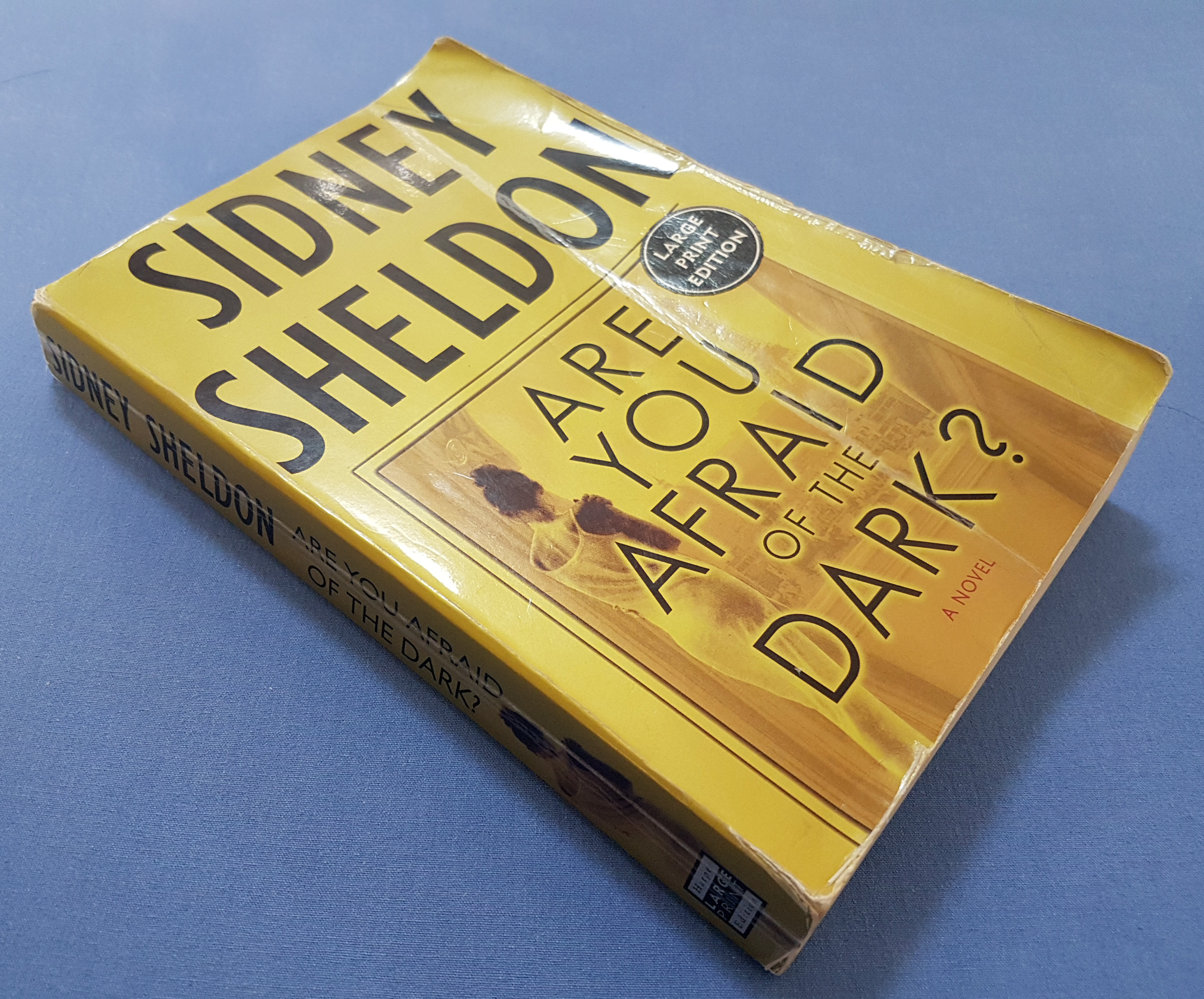 หนังสือ Sidney Sheldon ตอน Are You Afraid of THe Dark