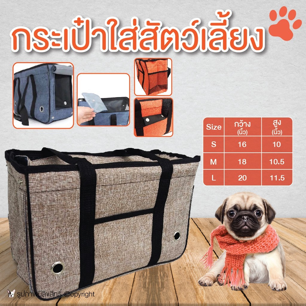 กระเป๋าใส่สัตว์เลี้ยง
