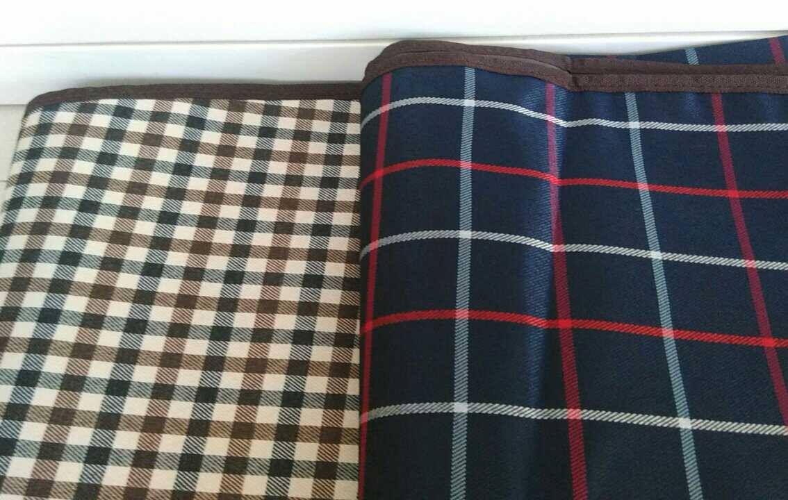 แผ่นรองกันเปื้อนในรถ