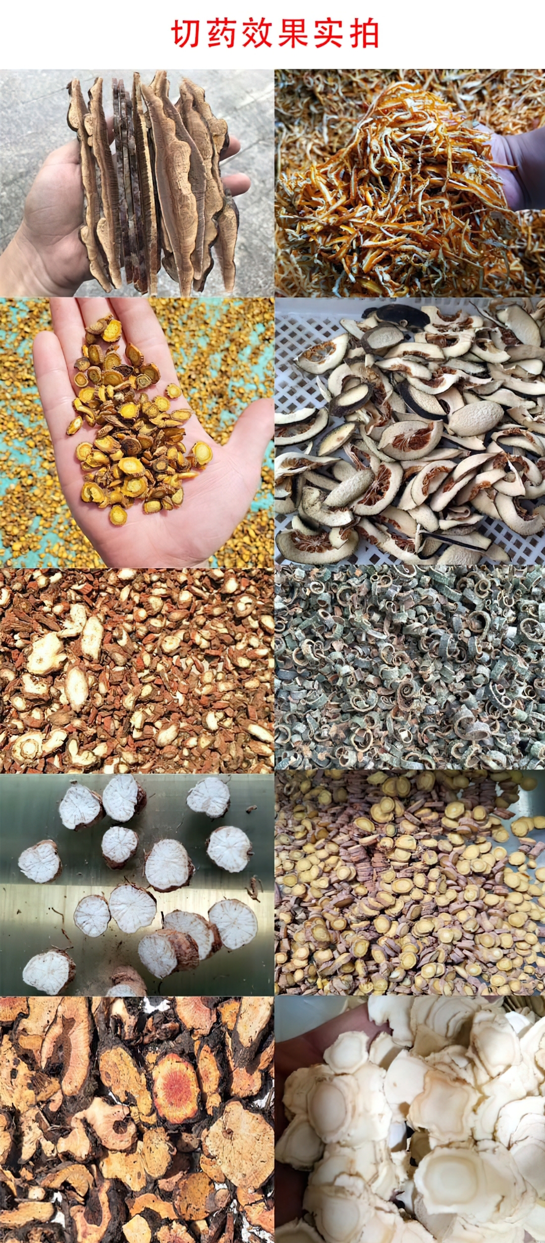 เครื่องสับ-ตัด สมุนไพร ยาจีน พริก กระเทียม ผัก รุ่น QYJ-200/300