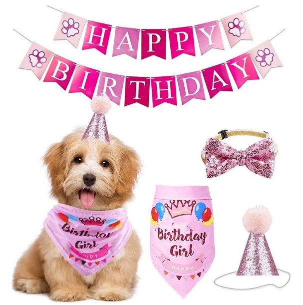 ชุดพรอพวันเกิดน้องหมา น่ารักๆ สีชมพู / Prop Happy Birthday Dog