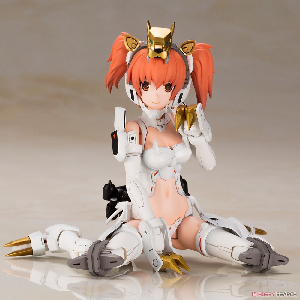 Cross Frame Girl Gaogaigar (Plastic model)