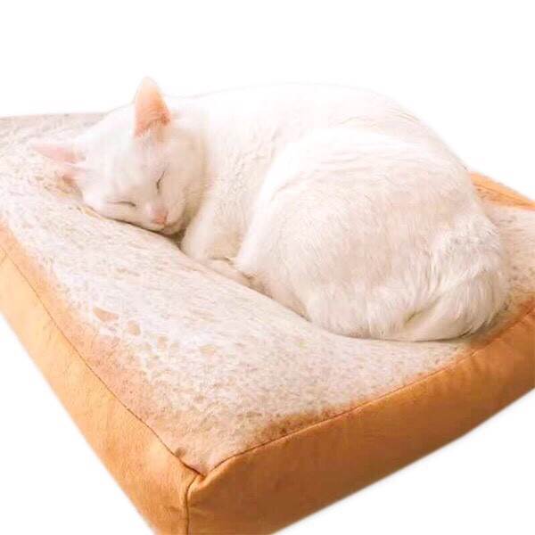 ที่นอนหนมปัง สำหรับสัตว์เลี้ยง