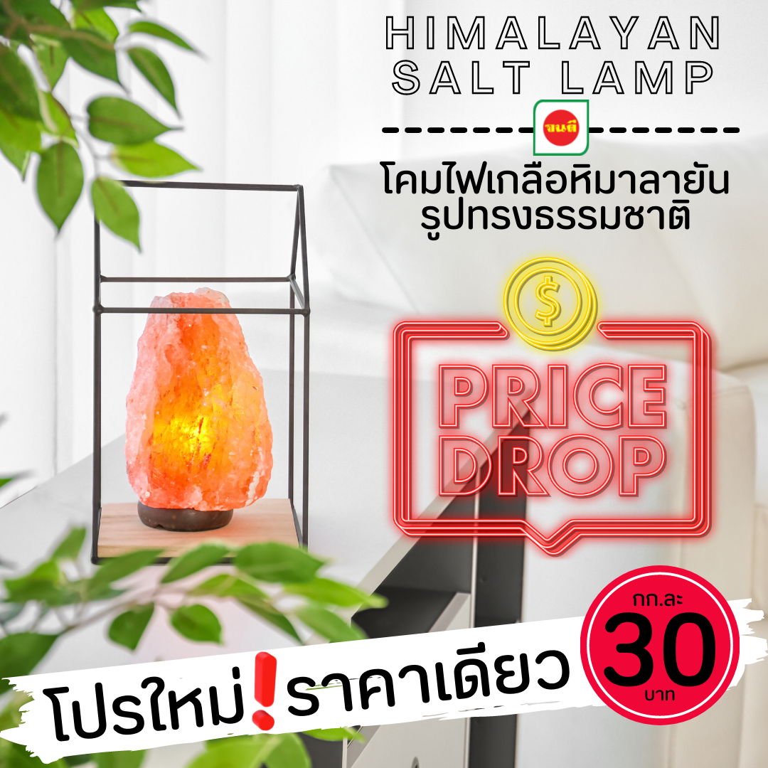 โคมไฟเกลือรูปทรงธรรมชาติ #40620