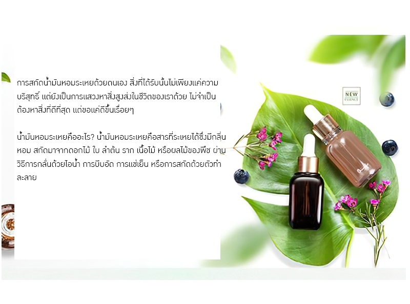 เครื่องกลั่นน้ำมันหอมระเหยบริสุทธิ์ขนาดเล็กสำหรับใช้ในครัวเรือน YANTAI-11