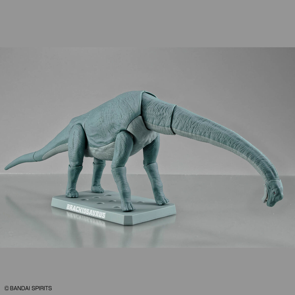 PLANNOSAURUS BRACHIOSAURUS