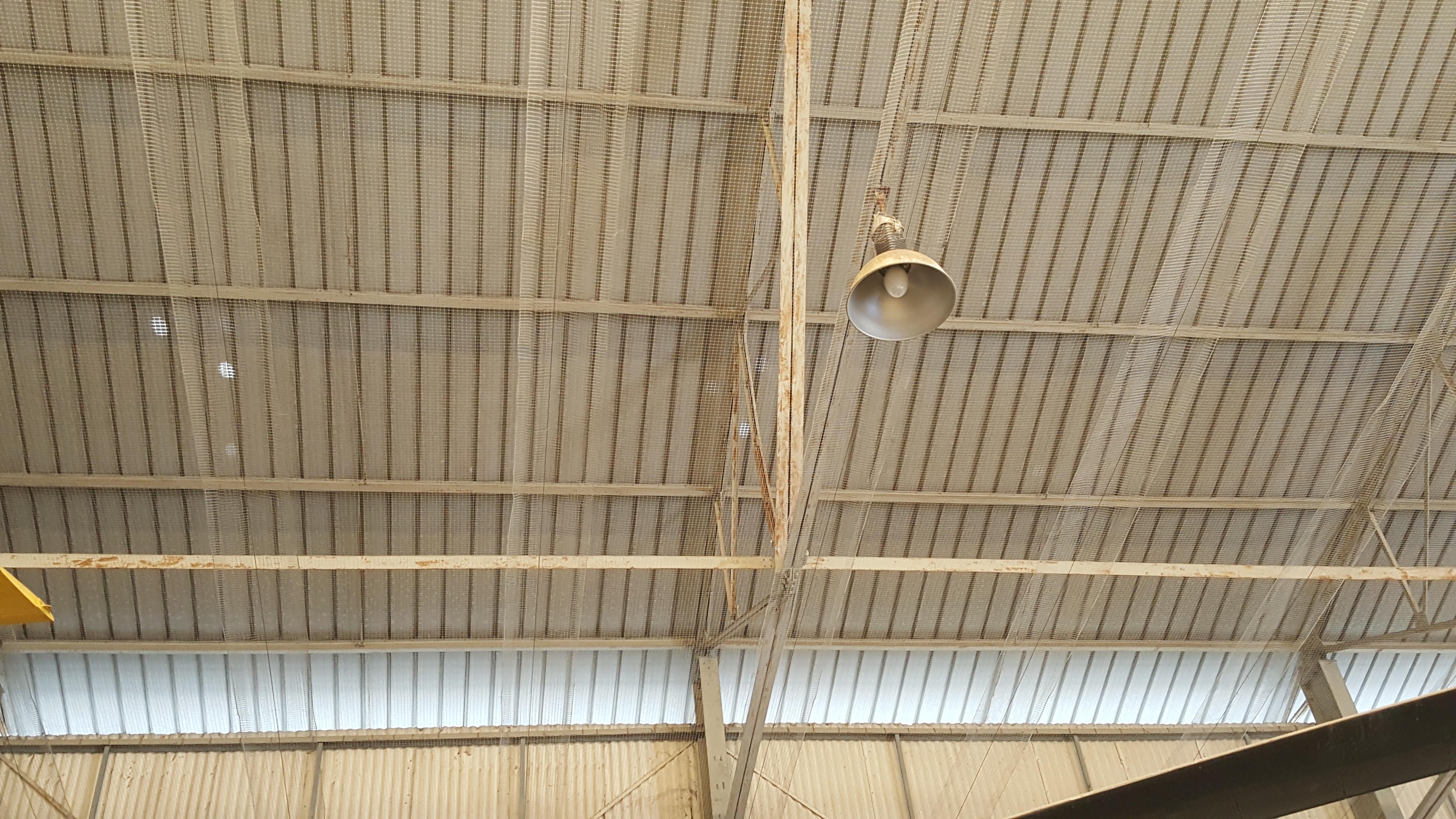 รับเหมาติดตั้งตาข่ายกันนกจำหน่ายตาข่ายกันนกอย่างดี โกดังสินค้าและโรงงาน