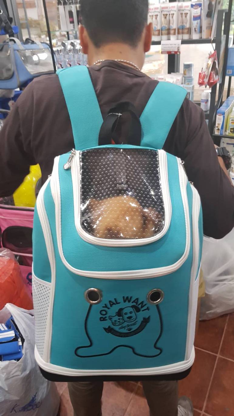 กระเป๋าสะพายใส่สัตว์เลี้ยง