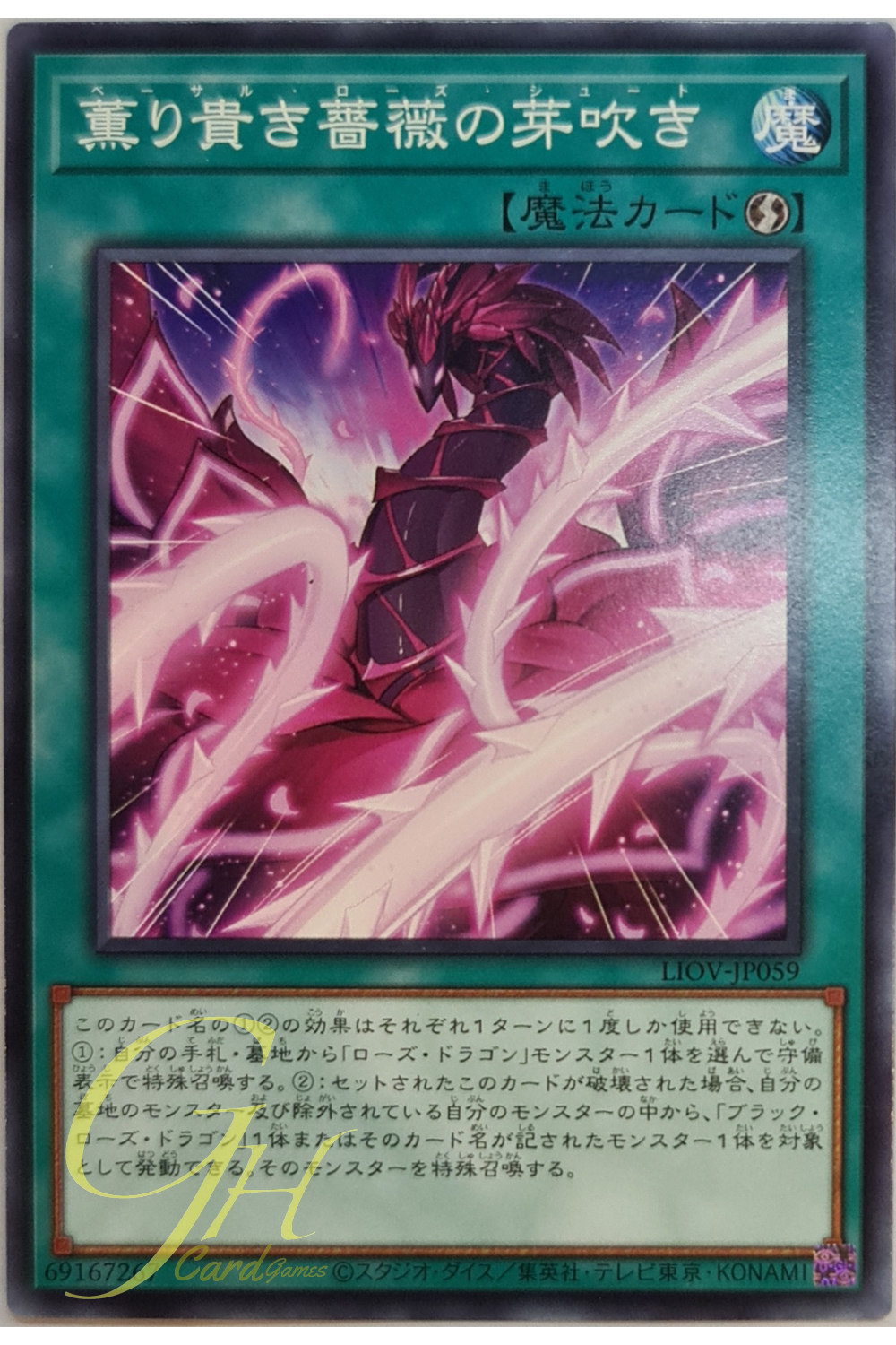 [LIOV-JP059] Basal Rose Shoot (Common)