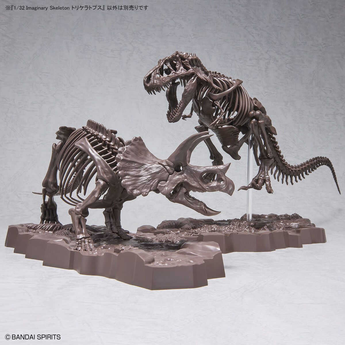 1/32 IMAGINARY SKELETON TRICERATOPS