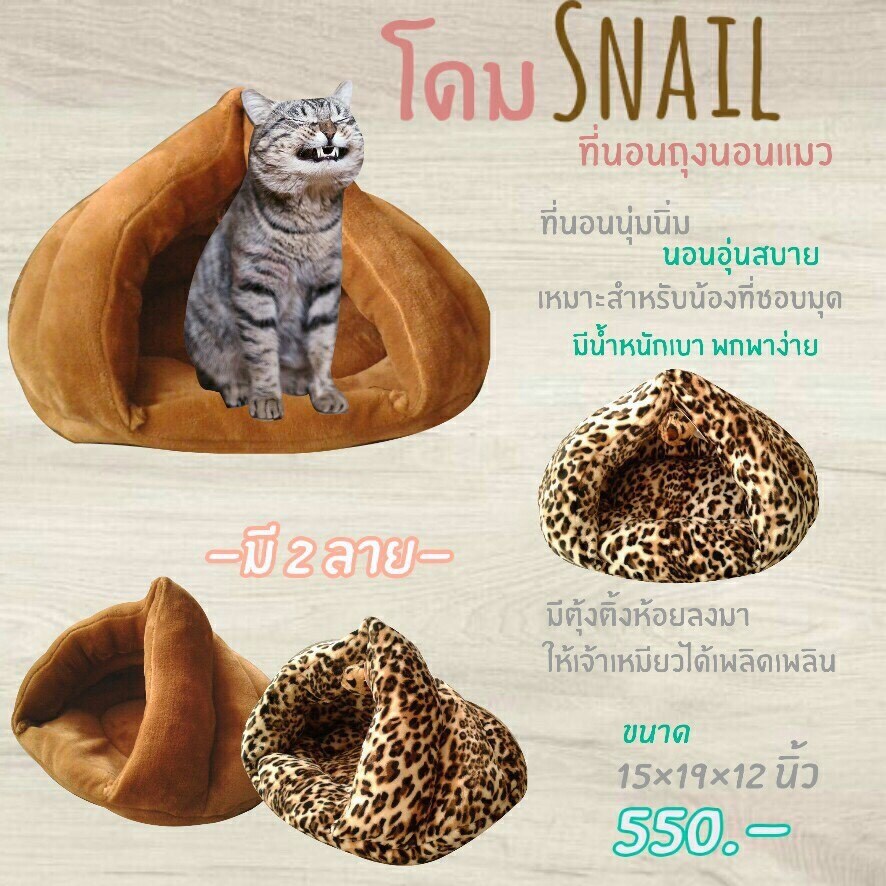 ถุงนอนแมว