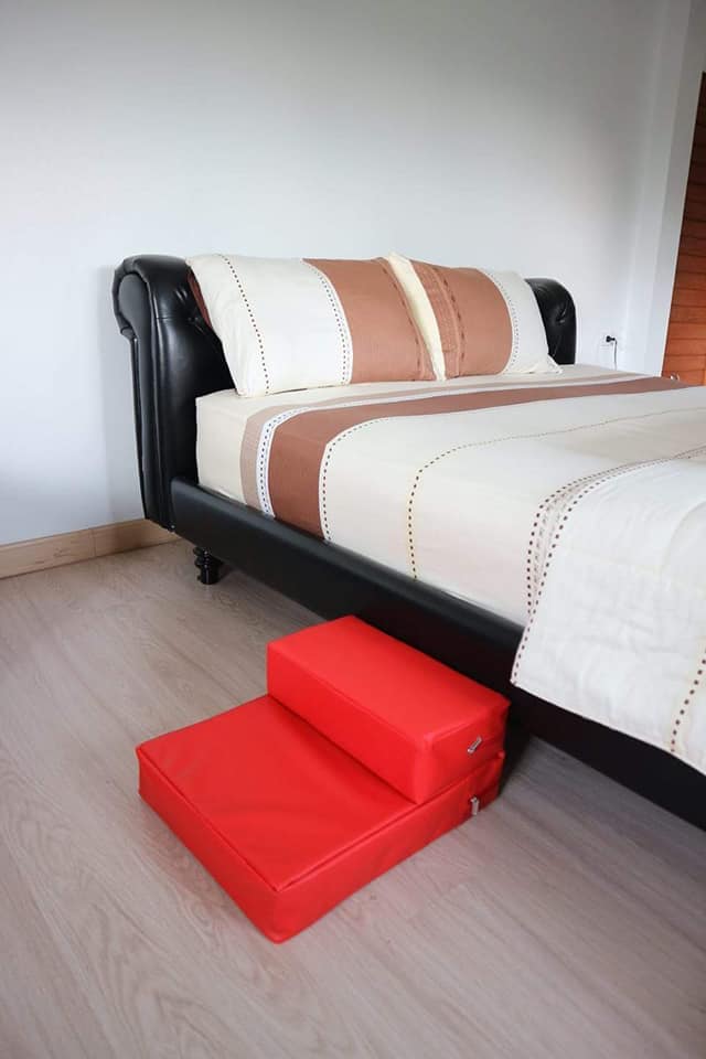 บันไดสำหรับสัตว์เลี้ยง