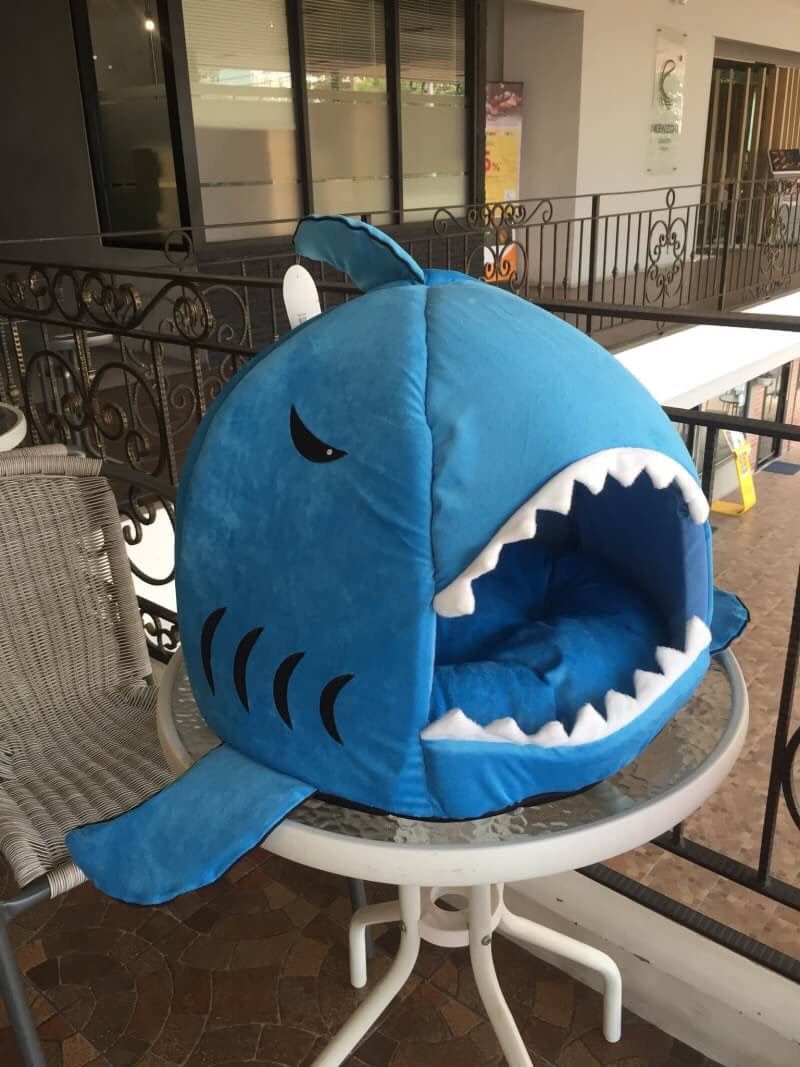 ที่นอนโดมปลาฉลาม สำหรับสัตว์เลี้ยง