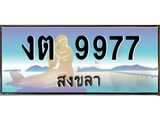 ทะเบียนสงขลา,สงขลา 9977,ป้ายประมูล, - งต 9977 สงขลา,ป้ายประมูลสงขลา