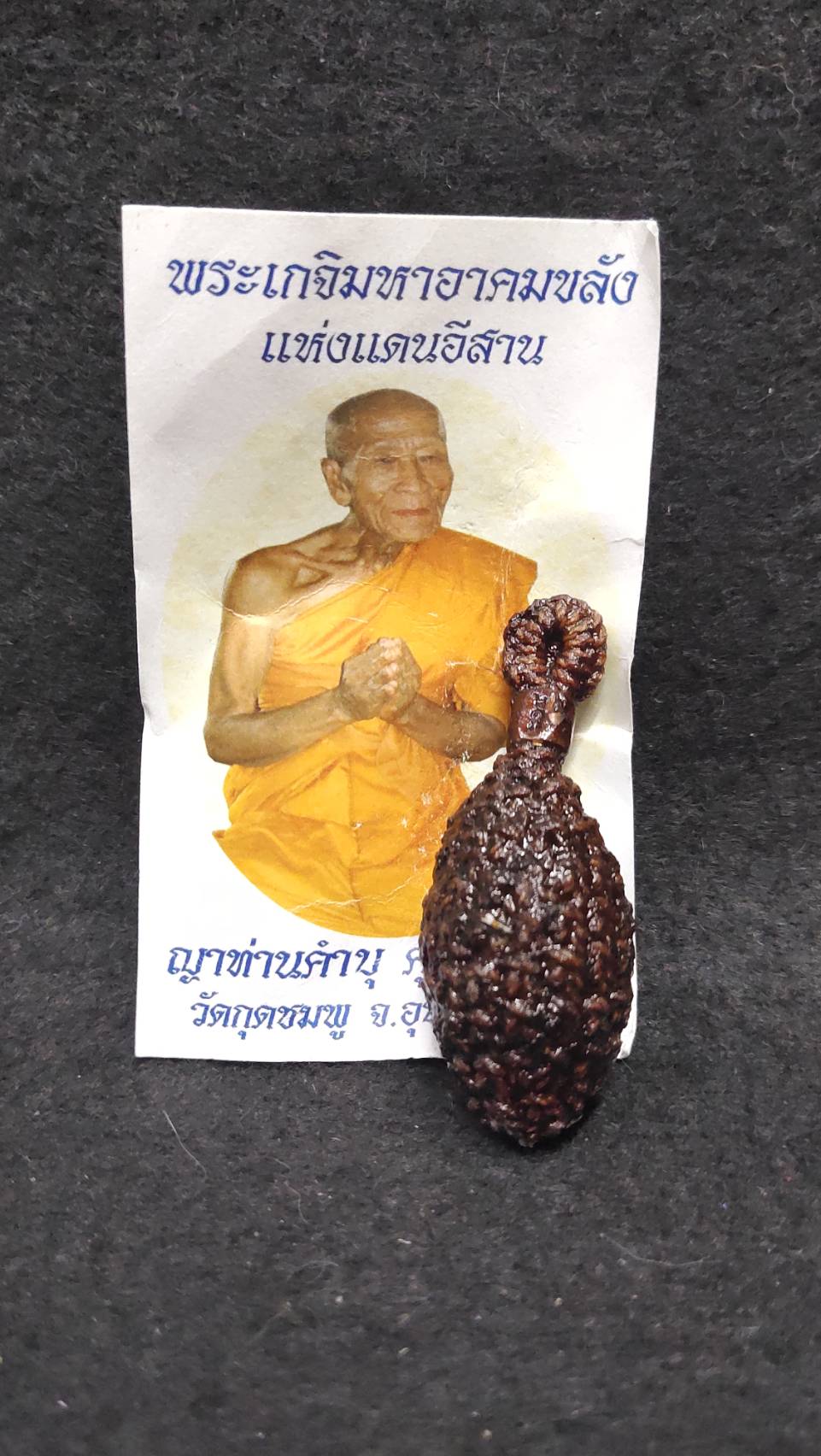 หมากทุย หลวงปู่คำบุ วัดกุดชมพู จ.อุบลราชธานี