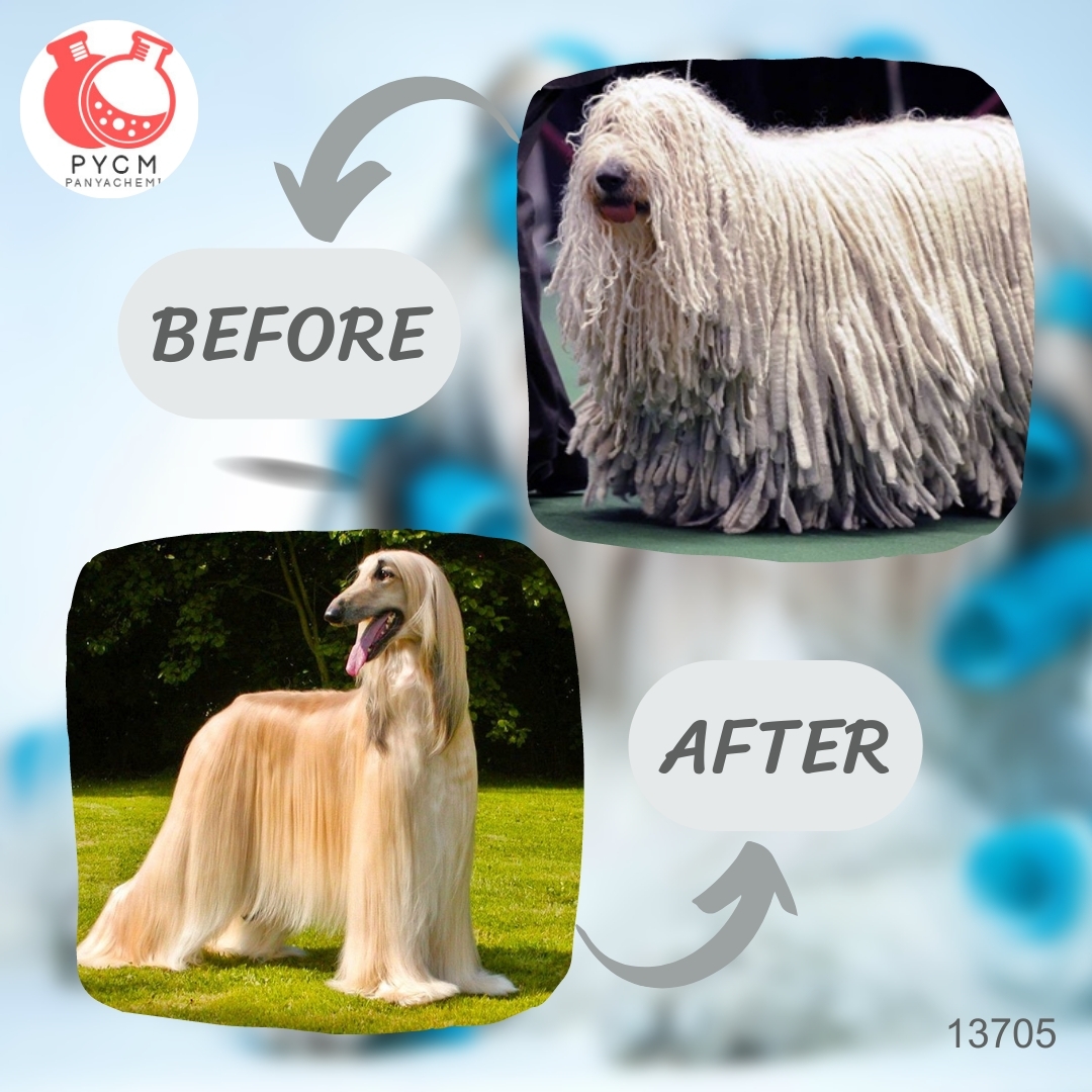 ❣️13705 ชุดทำสเปรน์บำรุงเส้น-เส้นขนลดการพันกัน ผมนุ่ม สามารถผลิตได้ : 1kg.