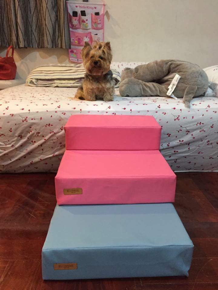 บันไดสำหรับสัตว์เลี้ยง