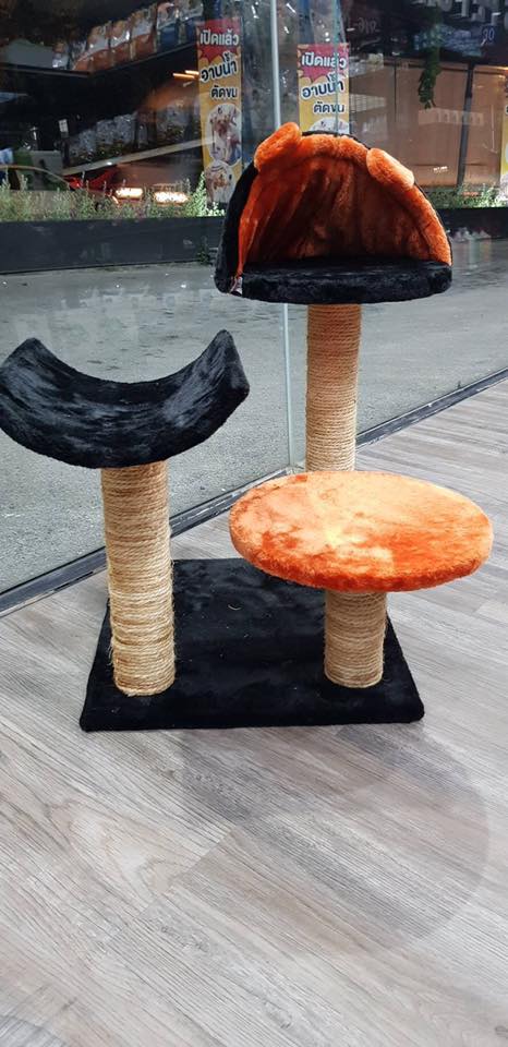 คอนโดน้องแมว size เล็ก