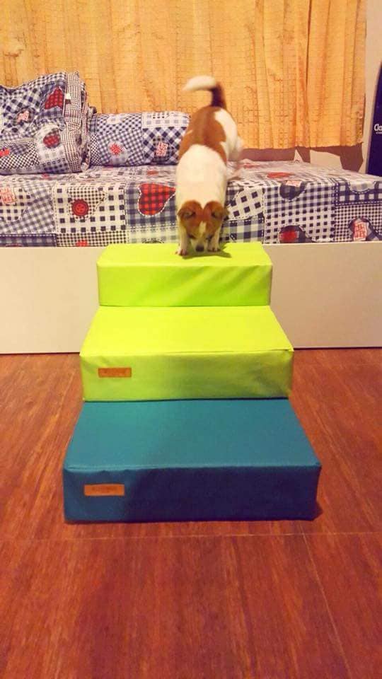 บันไดสำหรับสัตว์เลี้ยง