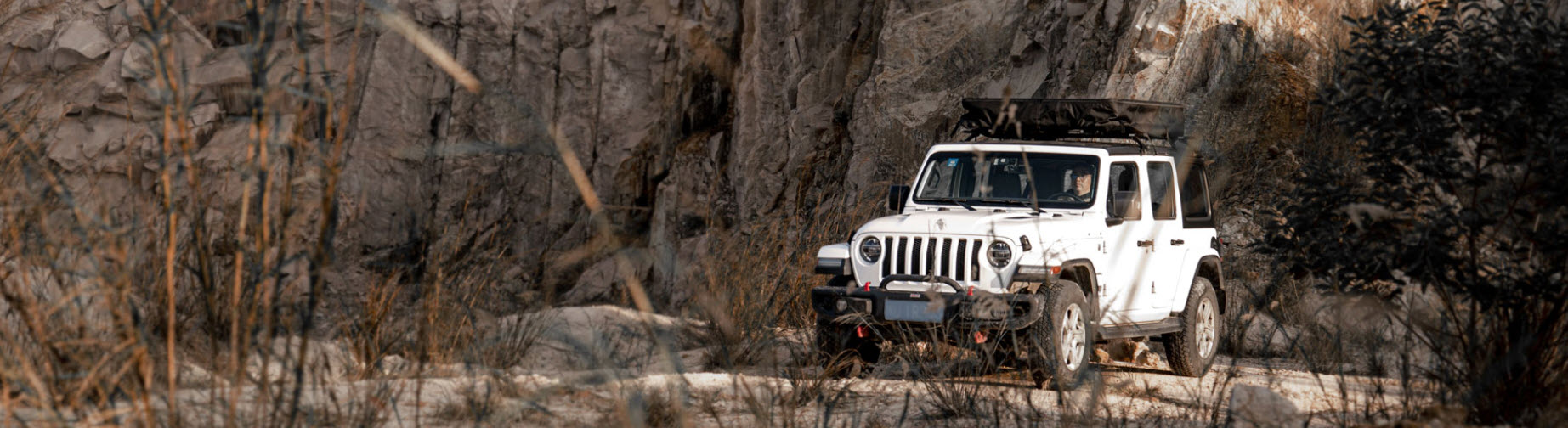 WILDLAND Voyager Pro 160