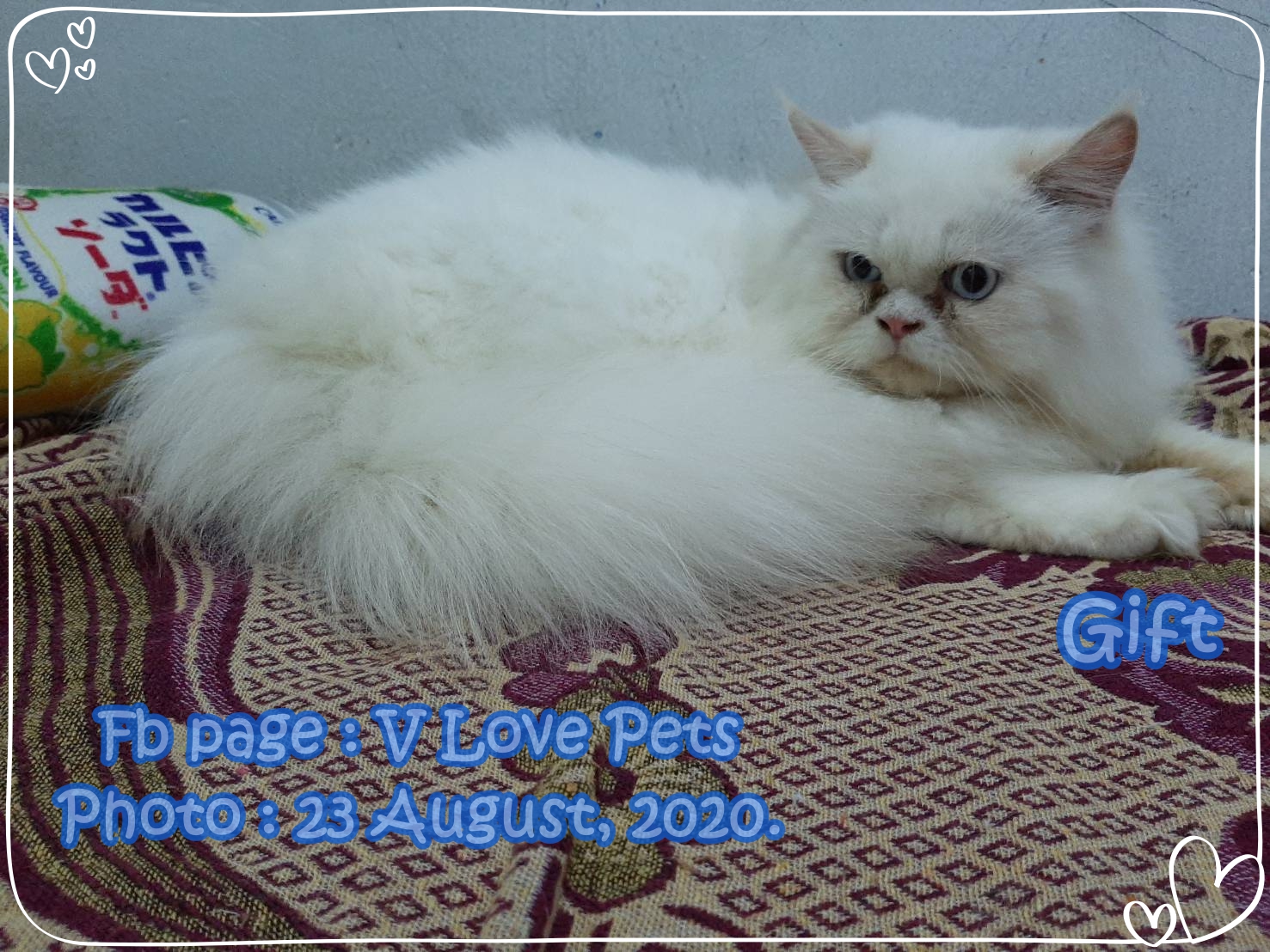 น้องกิ๊ฟ