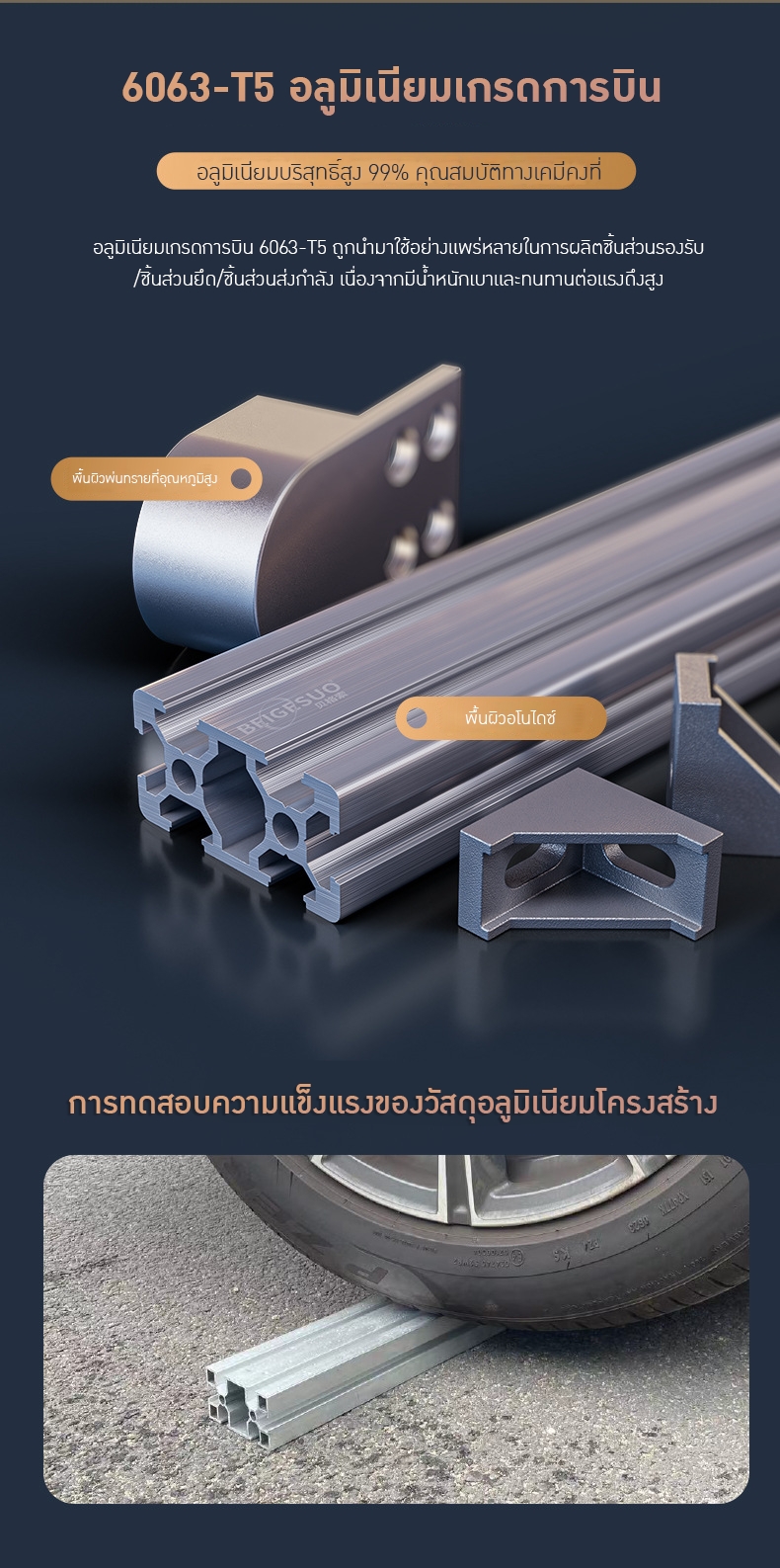 มินิสายพานลำเลียง (Mini Belt Conveyor System)