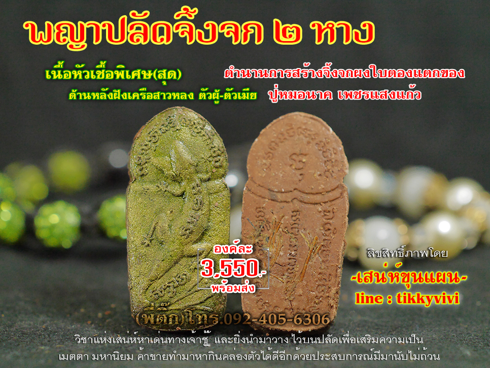 พญาปลัดจิ้งจก 2 หางเนื้อหัวเชื้อ